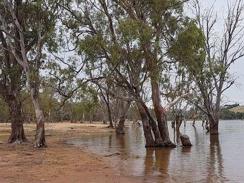Photo: Bowna Waters Reserve